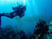 koh-tao-scuba-diving
